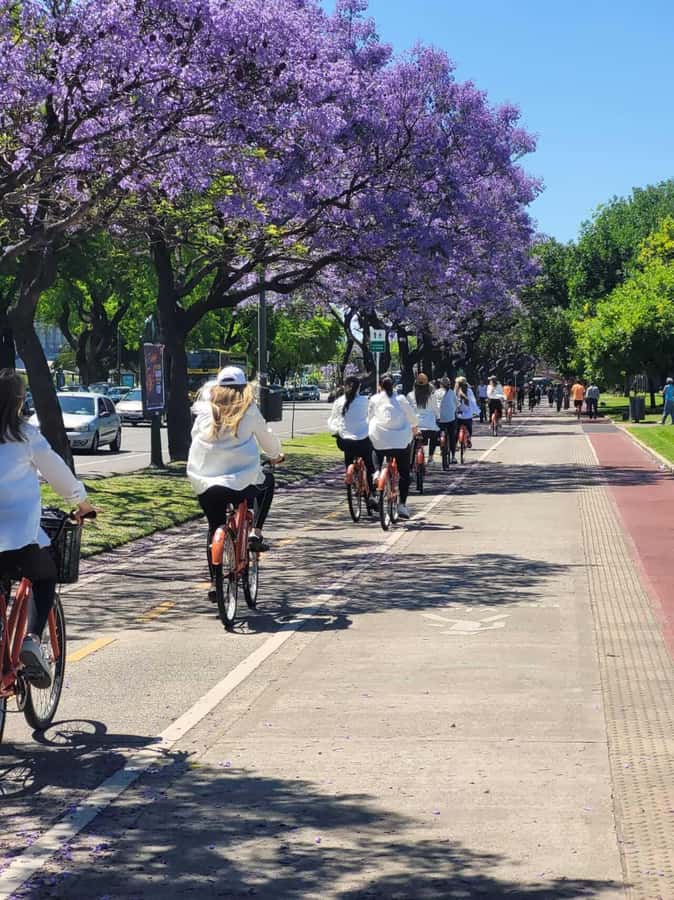 Bike Tour: Buenos Aires to the North - What the $44 price really covers