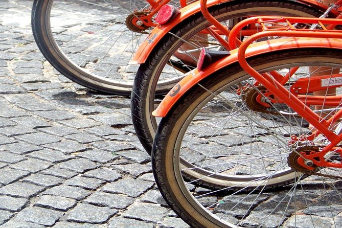 Buenos Aires Bike Tour: San Telmo and La Boca Districts - Guide quality can make or break the ride
