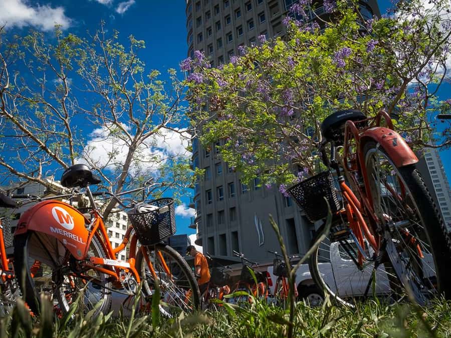 Buenos Aires Bike Tour: South or North Circuit - Puerto Madero and the Ecological Reserve