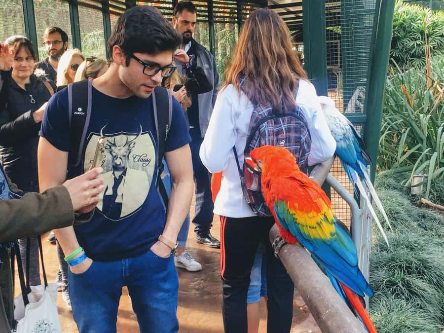 Buenos Aires: Bioparque Temaiken with Transfers - Key points to know before you go