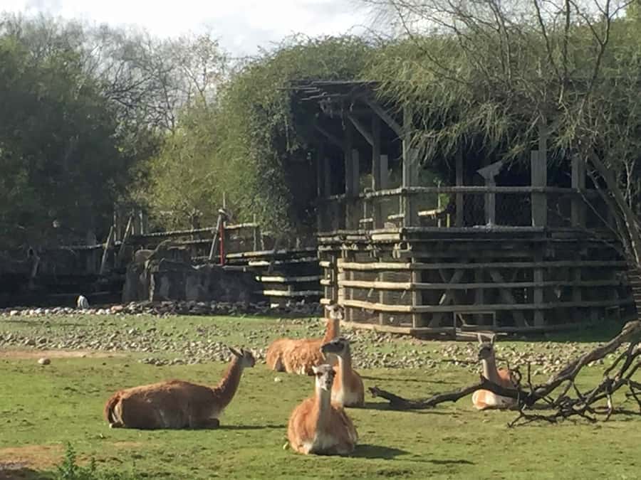 Buenos Aires: Bioparque Temaiken with Transfers - Five hours to build your own park visit
