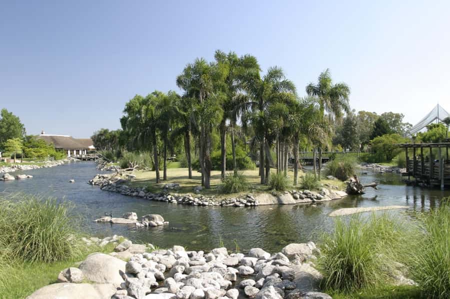 Buenos Aires: Bioparque Temaiken with Transfers - African animals and open family appeal
