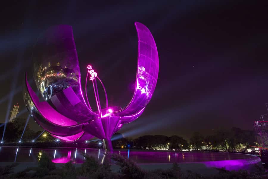 Buenos Aires by Night: Small Group City Tour - What the $59 price really covers