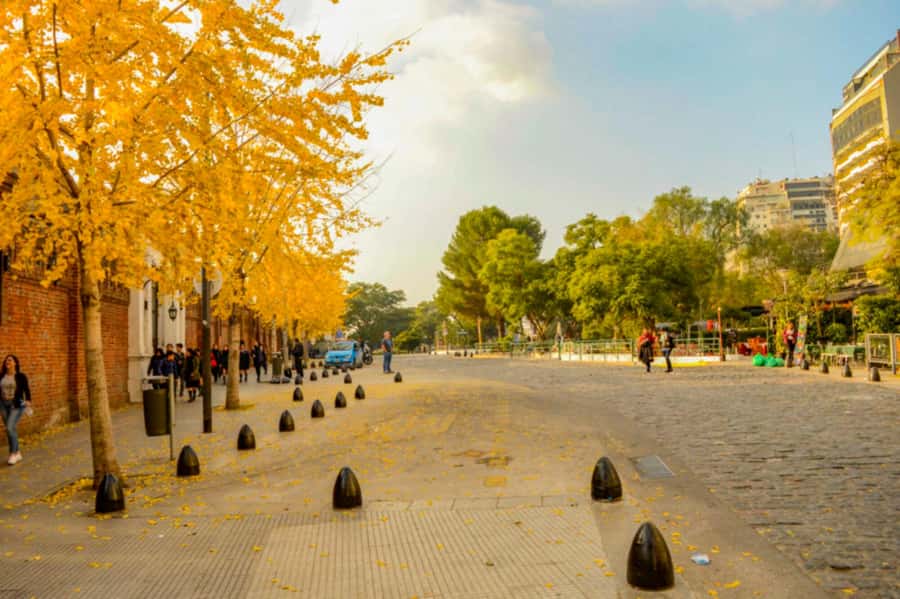 Buenos Aires: City Tour Porteno with Wine Tasting - The central sights around Plaza de Mayo