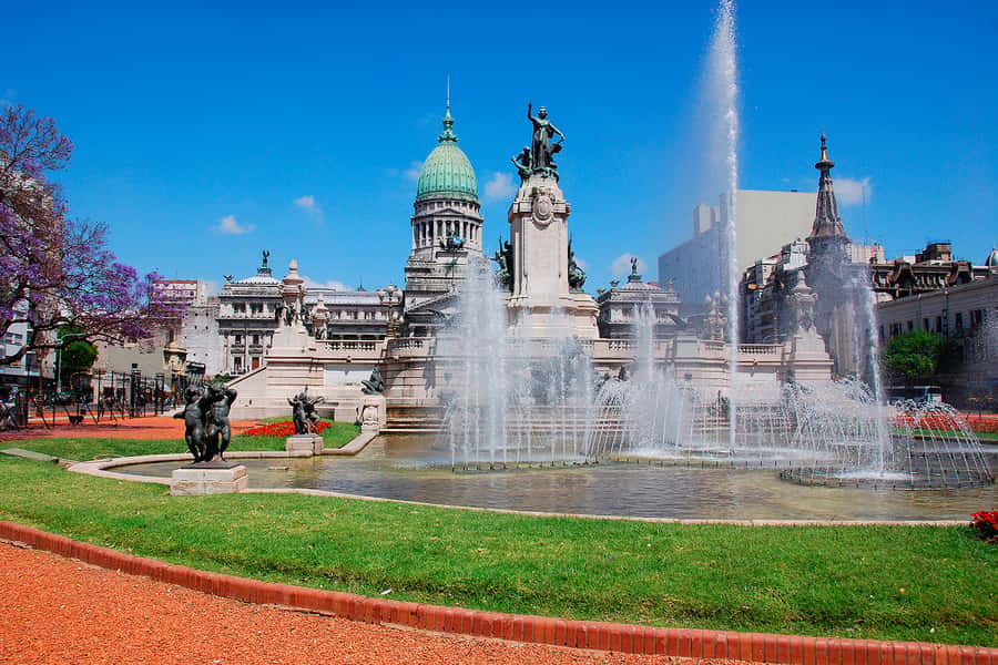 Buenos Aires City Tour with Luxury Lunch - Group size, guide language, and pickup details