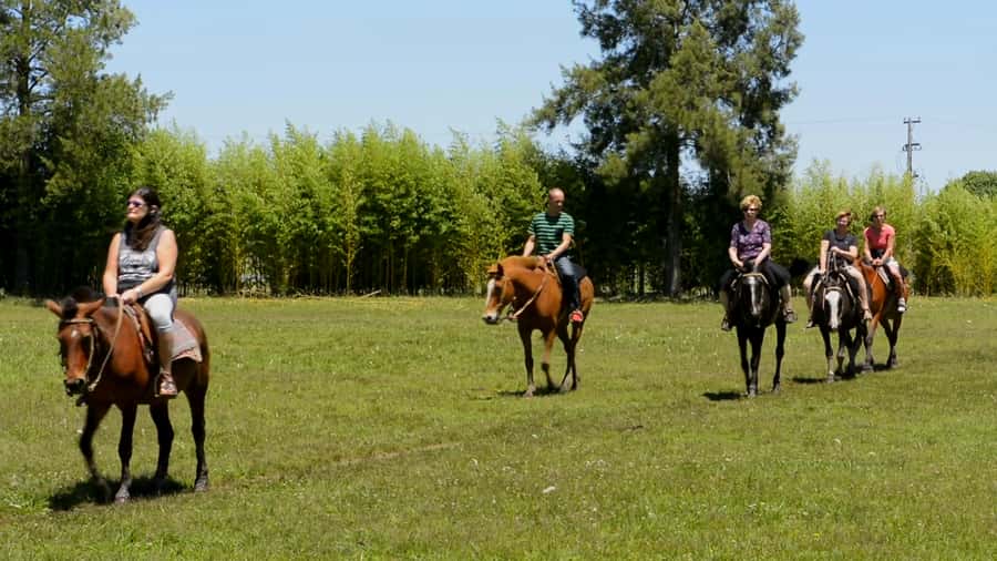 Buenos Aires: Don Silvano Ranch Gaucho Day Trip - A calm horseback ride with a gaucho