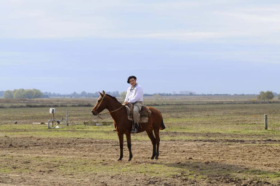 Buenos Aires: Don Silvano Ranch Gaucho Day Trip - Folk music, Argentine dancing, and mate