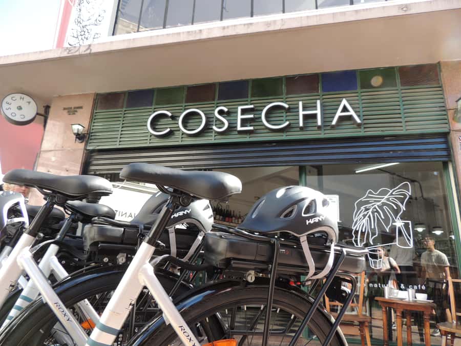 Buenos Aires: E-Bike Tour in the South Circuit of Buenos Aires - Returning through Puerto Madero and Costanera Sur