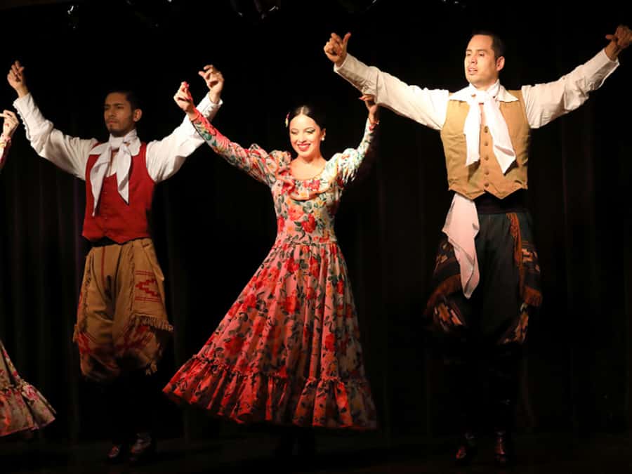 Buenos Aires: Live Michelangelo Tango & Folklore Show Ticket - Who will get the most from this show
