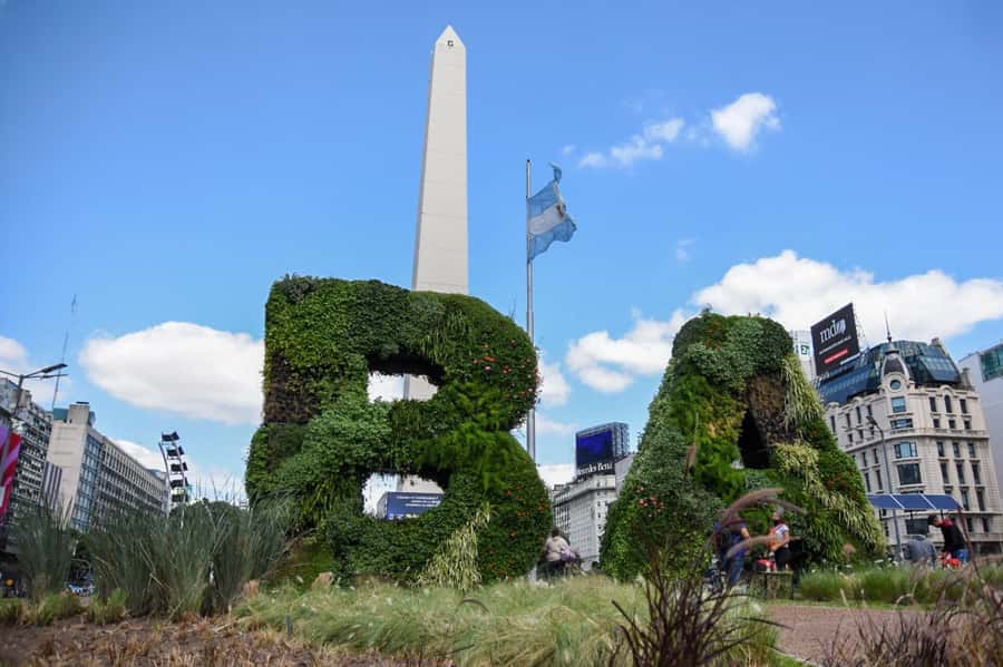 Buenos Aires Private City Tour with a local guide - Why a private car works well in Buenos Aires