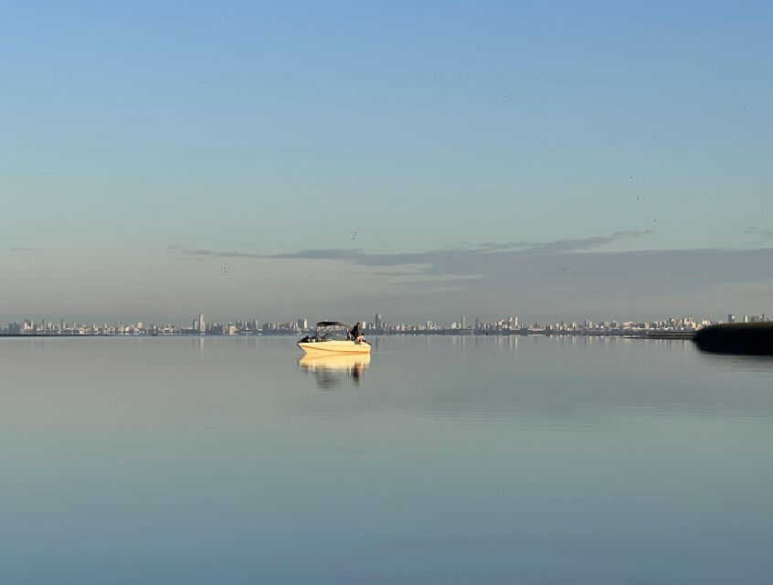 Buenos Aires: Private Delta Boat Tour with Barbecue onboard - Price: strongest for groups, less so for couples