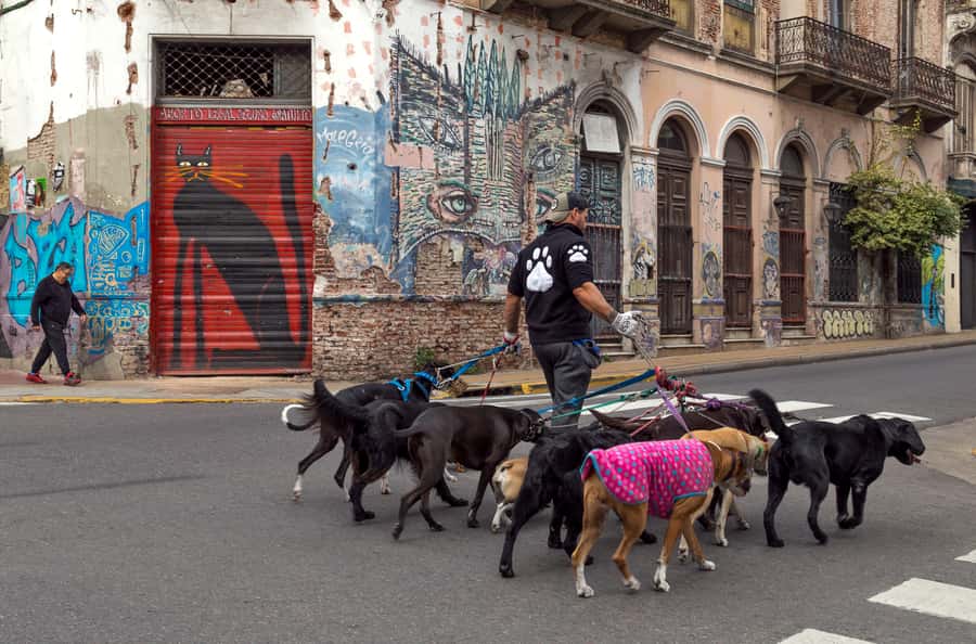 Buenos Aires: Private Photo Tour for Ammateur Photographers - Who should book it