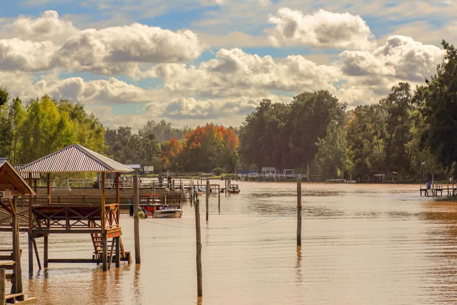 Buenos Aires: Puerto Madero to Tigre Round Trip Cruise - The $58 price and who gets good value