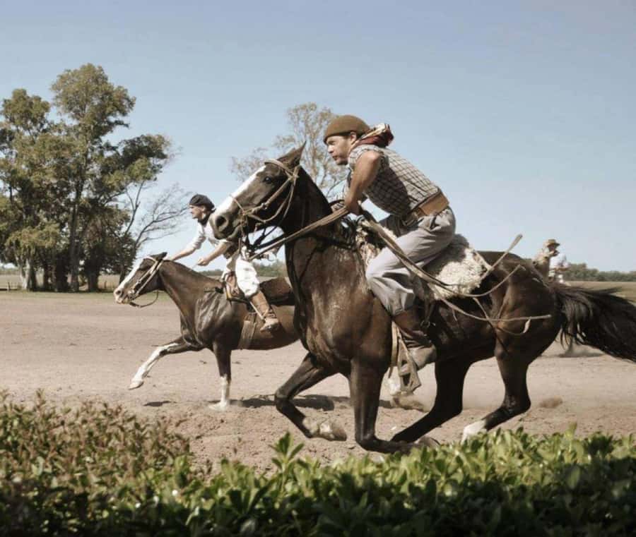 Buenos Aires: Santa Susana Ranch Day Tour, BBQ & Shows - Key points to know before you book