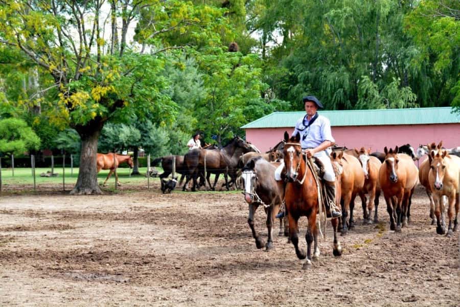 Buenos Aires: Santa Susana Ranch Day Tour, BBQ & Shows - A full day beyond Buenos Aires