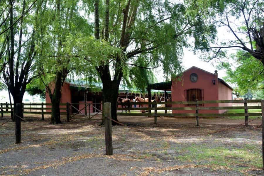 Buenos Aires: Santa Susana Ranch Day Tour, BBQ & Shows - Transport, timing, and practical planning