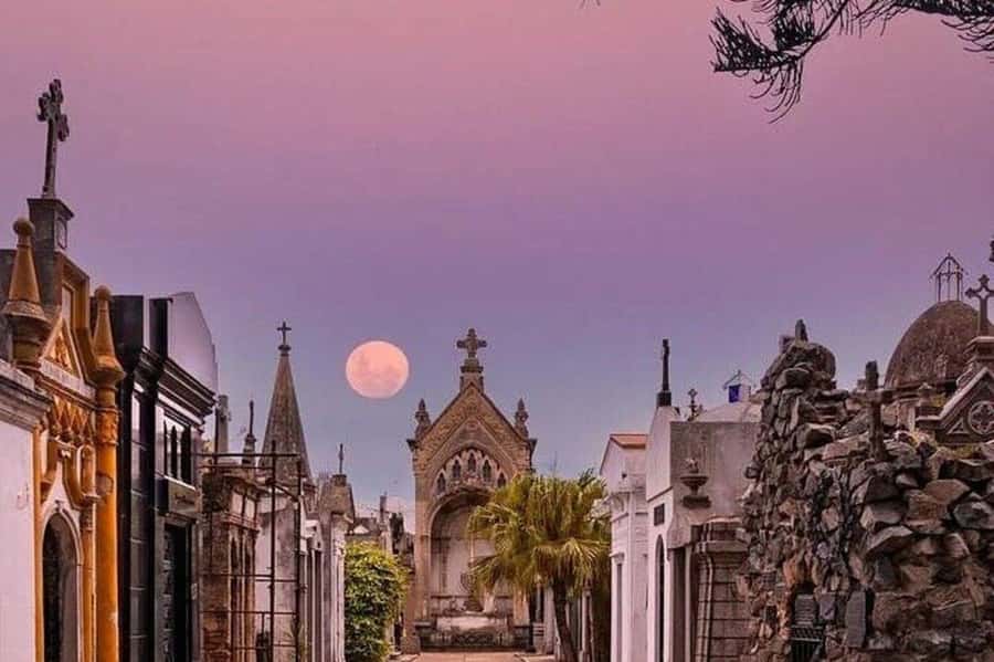 Buenos Aires: Small Group City Highlights Tour - Puerto Madero and the Argentine Wine Tasting