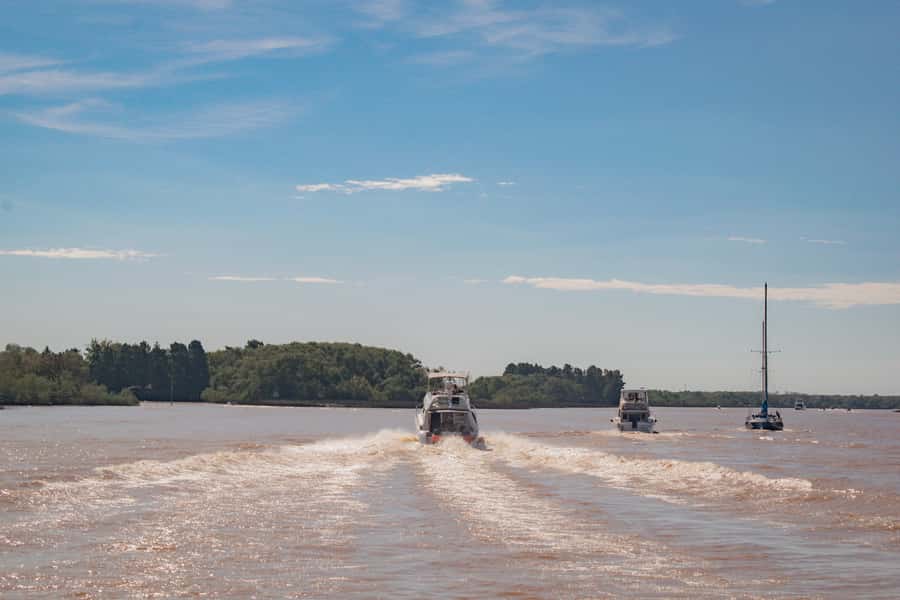 Buenos Aires: "Ticket"- 2hs of Navigation Premium to Tigre - From Puerto Madero to the Paraná Delta