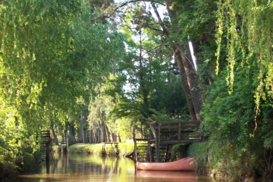 Buenos Aires: Ticket - Classic Delta of Tigre Boat Tour - Why the Tigre Delta Feels Like Another World