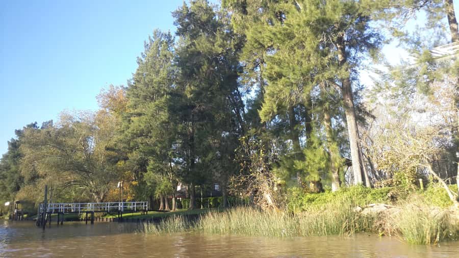 Buenos Aires: Ticket - Classic Delta of Tigre Boat Tour - Is $27 Good Value?