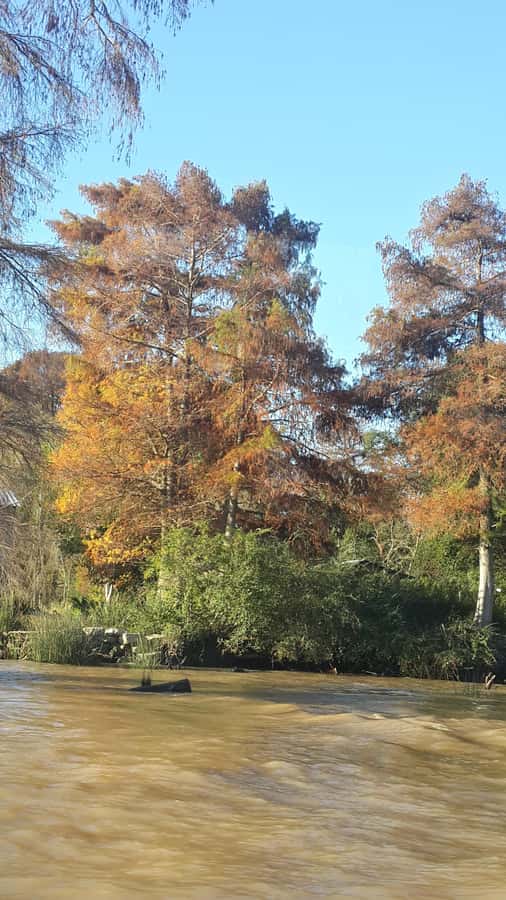 Buenos Aires: Ticket - Classic Delta of Tigre Boat Tour - Small Details That Make the Day Easier