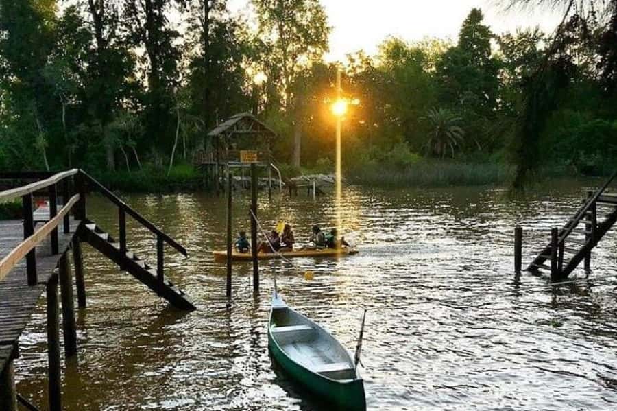 Buenos Aires: Tigre Delta Half-Day Tour with Navigation - Puerto de Frutos: a quick look at Tigre shopping