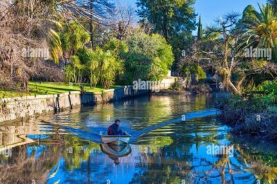 Tigre Delta Half-Day Tour with Navigation