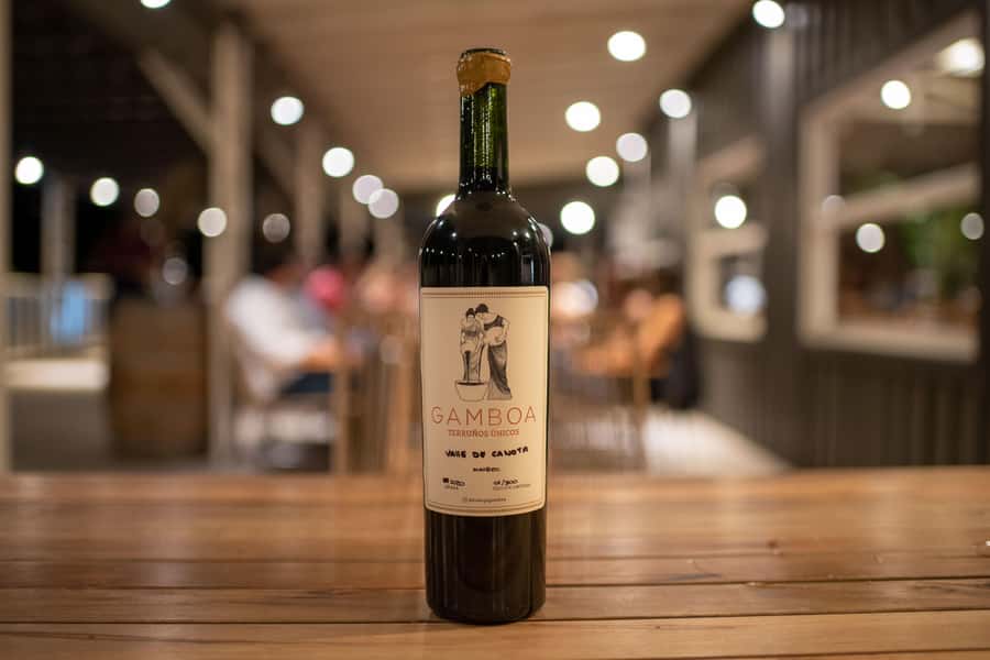 Buenos Aires: Wine Tasting and Lunch at Bodega Gamboa - Transport, pickup districts, and the independent option