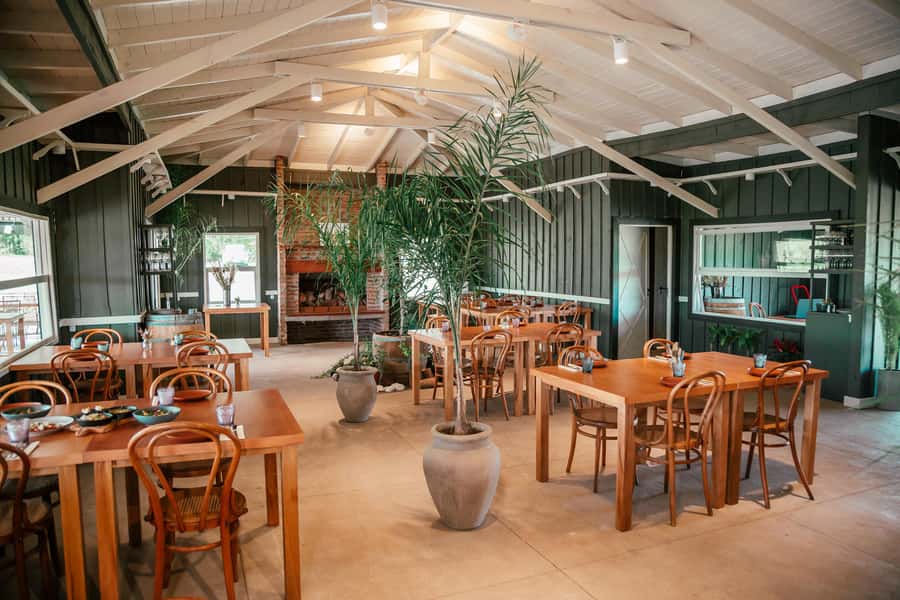 Buenos Aires: Wine Tasting and Lunch at Bodega Gamboa - Is $169 good value?