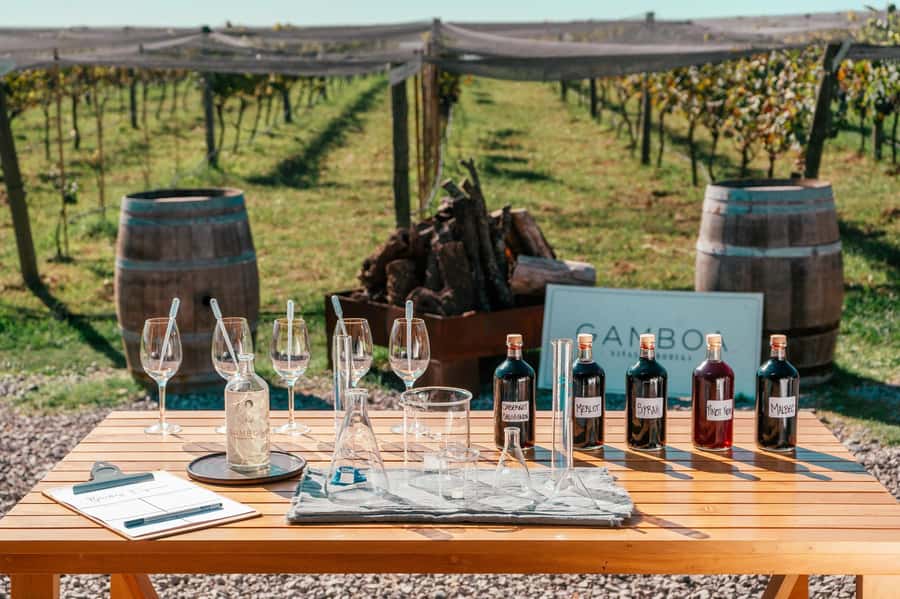Buenos Aires: Wine Tasting & Lunch at Gamboa Vineyard - The easy countryside escape from Buenos Aires