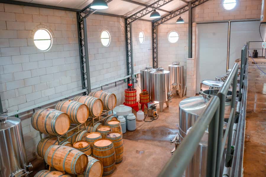 Buenos Aires: Wine Tasting & Lunch at Gamboa Vineyard - Should you book Bodega Gamboa?