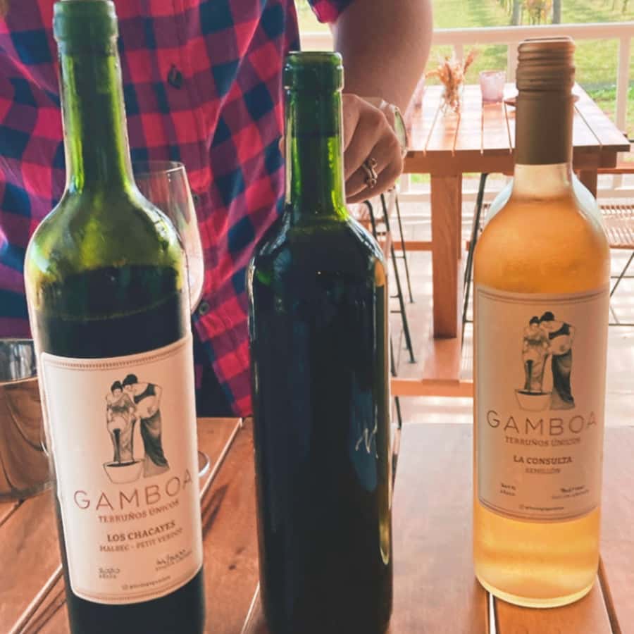 Enjoy a Rural Experience in a Vineyard near Buenos Aires - A four-course lunch in the countryside