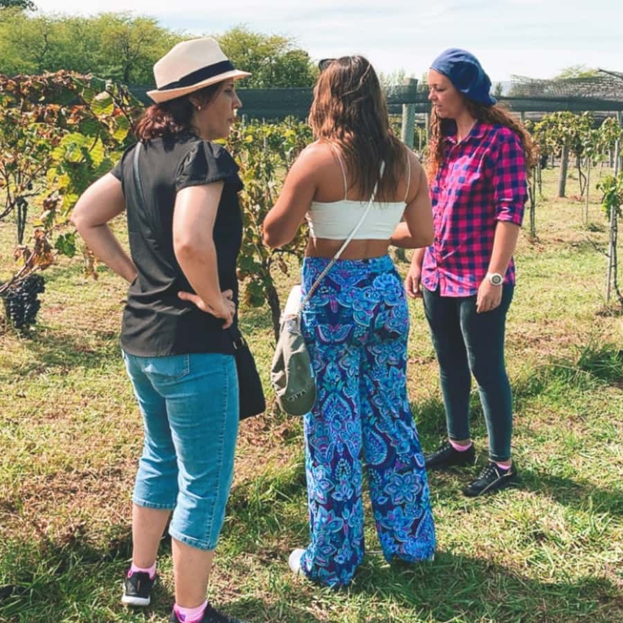 Enjoy a Rural Experience in a Vineyard near Buenos Aires - The private vehicle is convenient, but ask about space