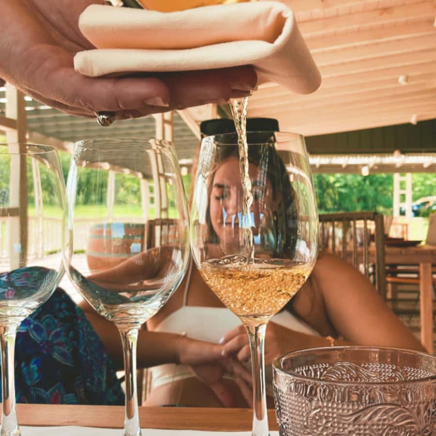 Enjoy a Rural Experience in a Vineyard near Buenos Aires - Practical booking points to settle before you pay