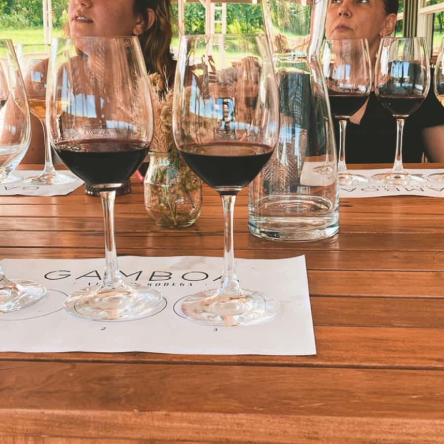 Enjoy a Rural Experience in a Vineyard near Buenos Aires - Who should book this vineyard day?