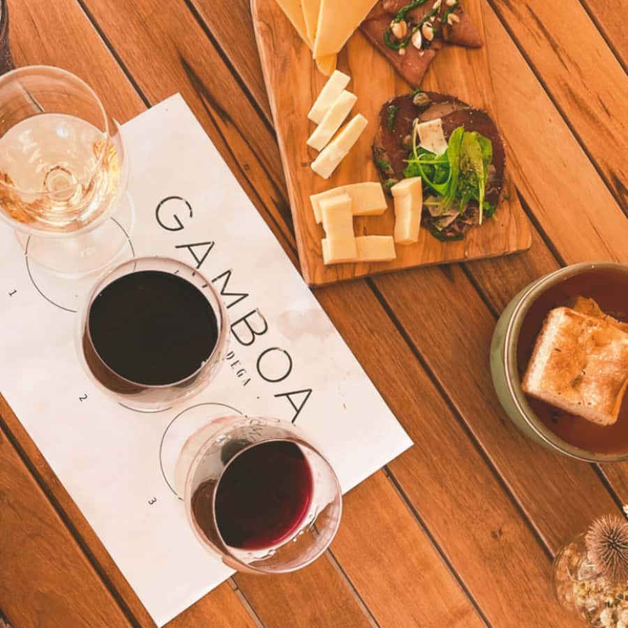 Enjoy a Rural Experience in a Vineyard near Buenos Aires - Wine tasting with food instead of wine tasting alone