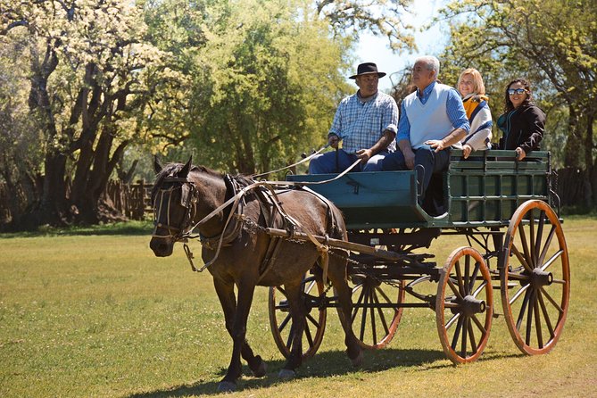 Estancia Gaucho Day at Buenos Aires - Who should book this gaucho day?