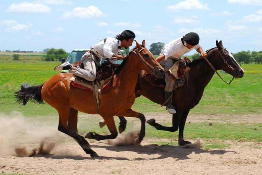 From Buenos Aires: Estancia Don Silvano Tour with Lunch. - Key points to know before booking