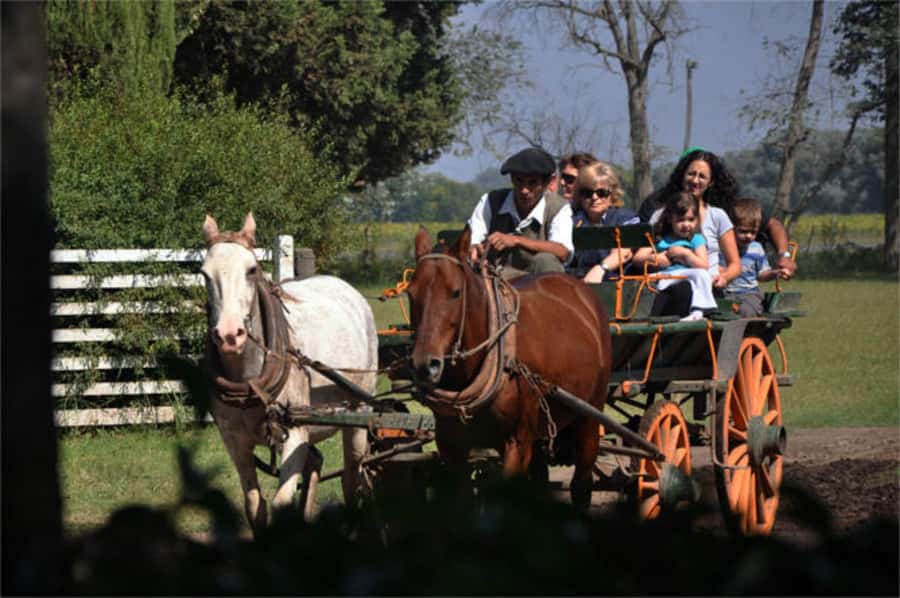 From Buenos Aires: Estancia Don Silvano Tour with Lunch. - From Buenos Aires to the pampas in 105 minutes