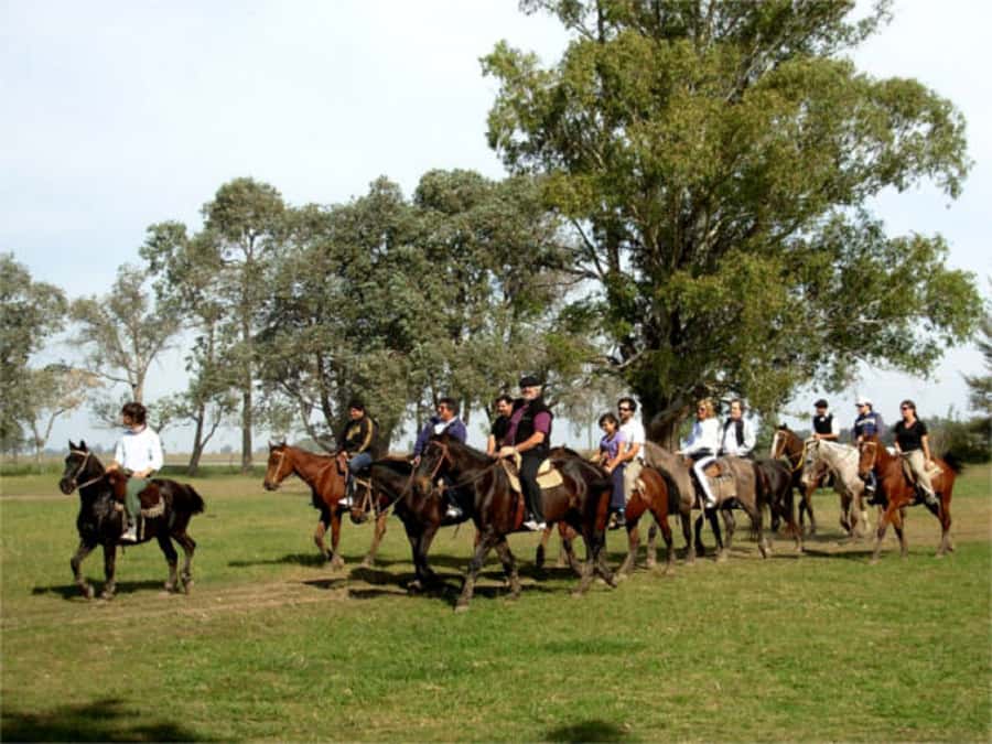 From Buenos Aires: Estancia Don Silvano Tour with Lunch. - Empanadas, wine, and a proper Creole lunch