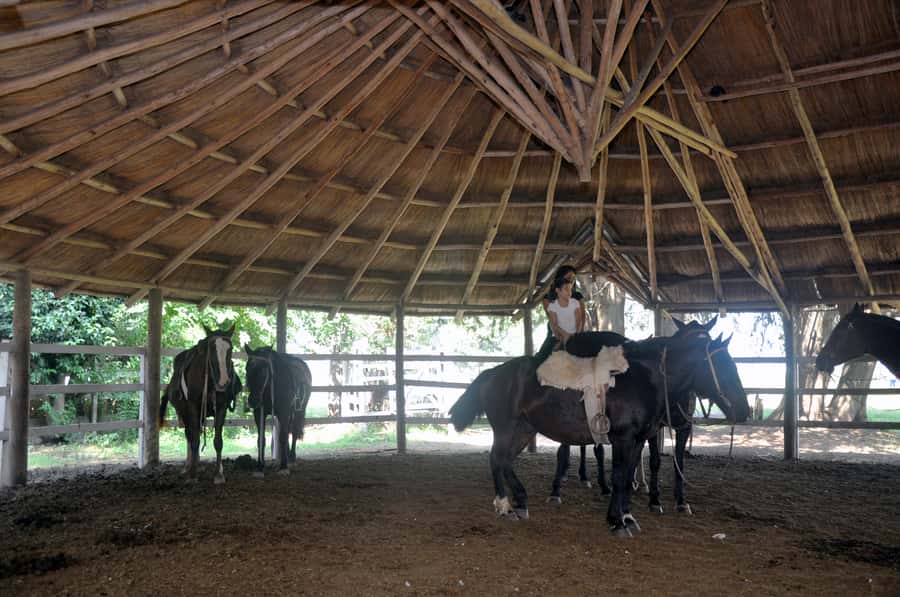 From Buenos Aires: Estancia Don Silvano Tour with Lunch. - Gaucho dances, carriages, and traditional skills
