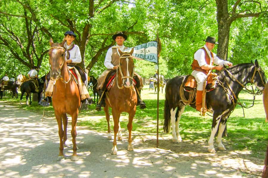 From Buenos Aires: Gaucho and Ranch Day Tour - Key points at a glance