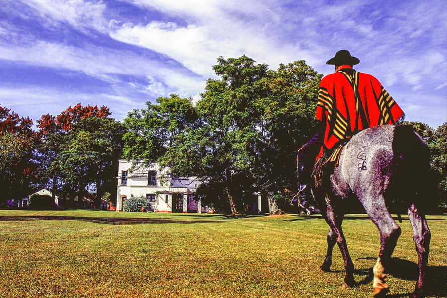 From Buenos Aires: Gaucho and Ranch Day Tour - Leaving Buenos Aires for the Pampas