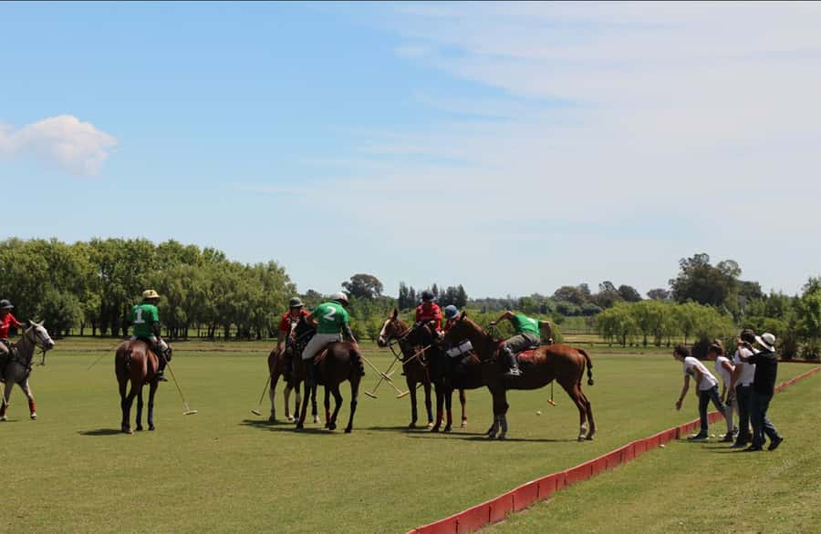 From Buenos Aires: Polo Match, Lesson, and BBQ Day-Trip - Key points at a glance