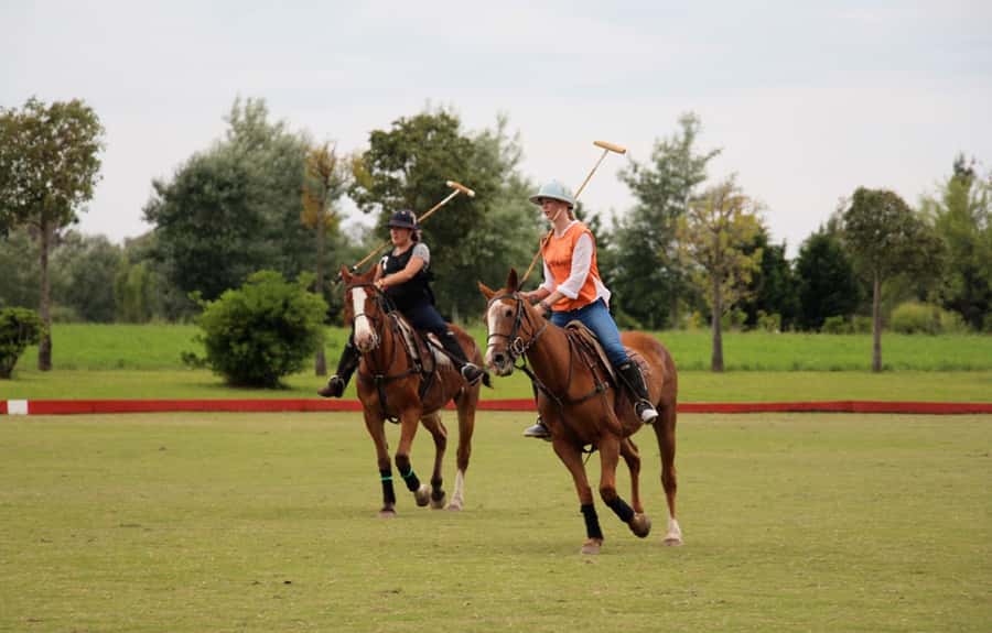 From Buenos Aires: Polo Match, Lesson, and BBQ Day-Trip - Why this polo day feels different from a standard Buenos Aires outing