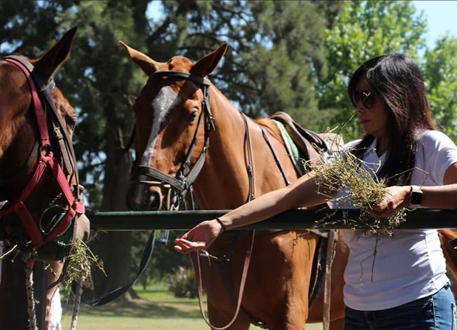 From Buenos Aires: Polo Match, Lesson, and BBQ Day-Trip - The 80-kilometer ride into Argentina’s campo