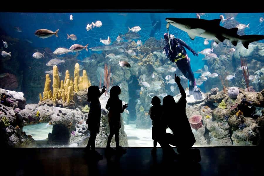 From Buenos Aires: Temaiken Zoo Tour with Ticket Included - Practical advice for a smoother visit