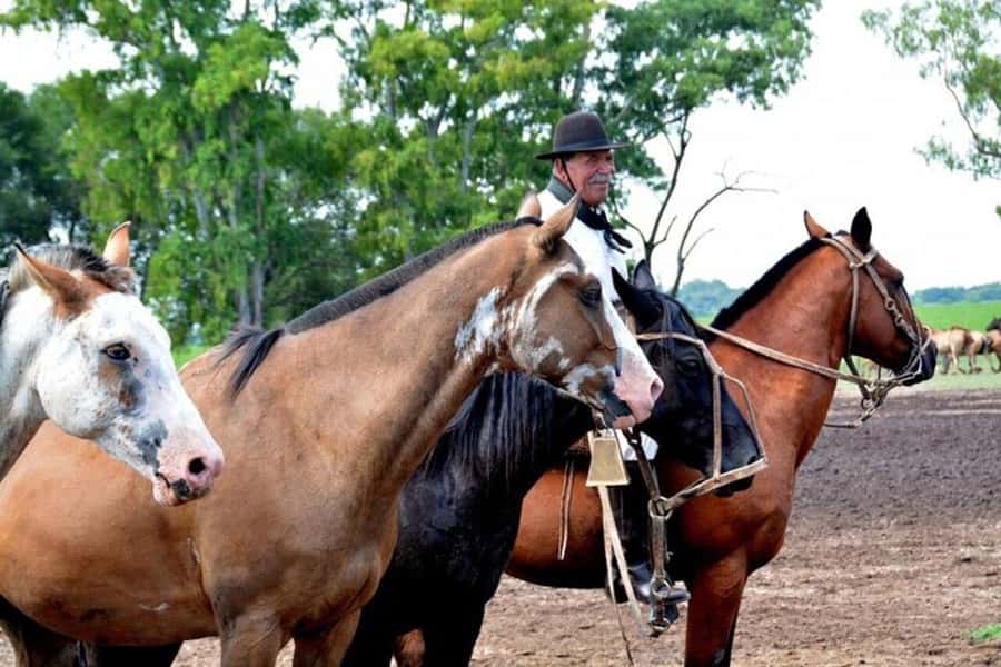 Full-Day at Santa Susana Ranch with BBQ, Drinks and Show - Who will enjoy this ranch day?