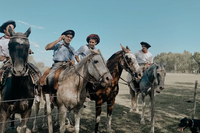 Gaucho Experience: A Day Trip to Don Silvano Ranch - Horseback riding that favors comfort over adventure