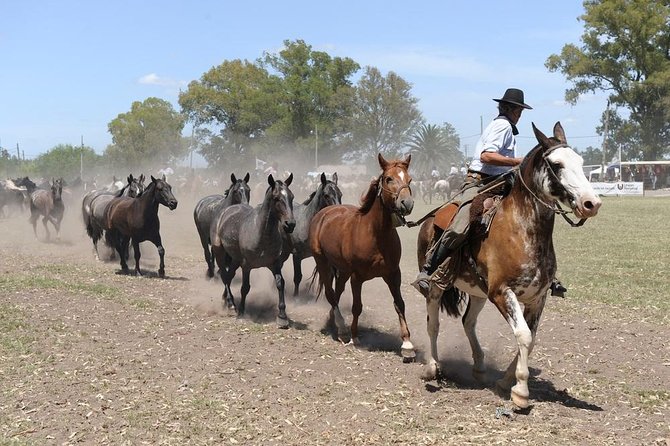 Gaucho Experience: A Day Trip to Don Silvano Ranch - Arriving at Don Silvano with empanadas and wine